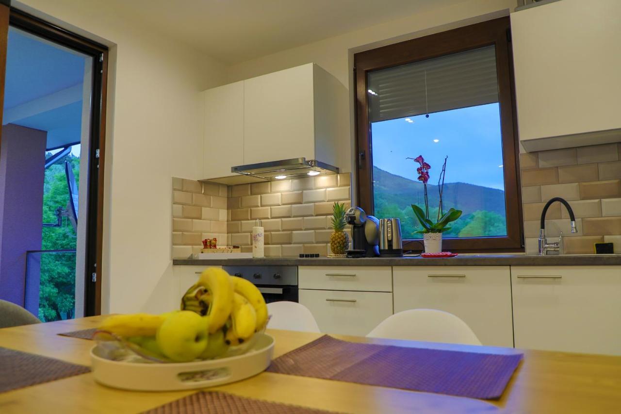Apartments Edy Bihać Extérieur photo